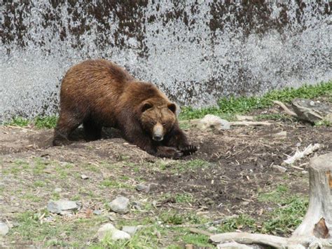 About Us | Sitka Wildlife Tours