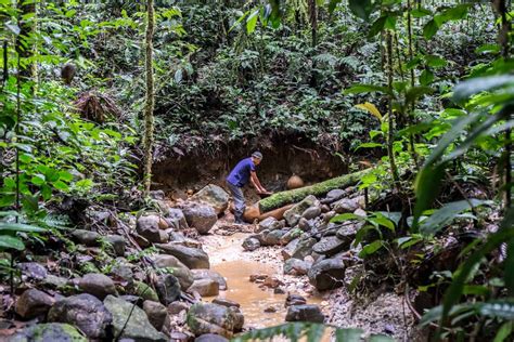 Ecuador Amazon Rainforest Guide for an Unforgettable Jungle Adventure