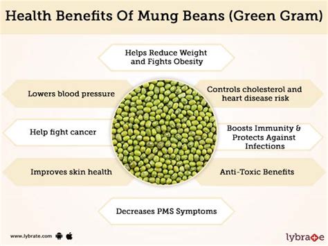 Mung Beans (Green Gram) Benefits | Lybrate