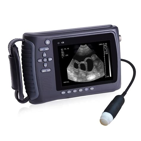 Buy 2022 Newest Ultrasound Machine for Pregnancy Portable ecografo portatil Scanner Handheld ...