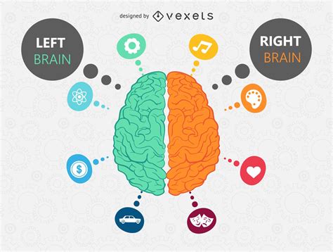 Brain Illustration With Icons Vector Download