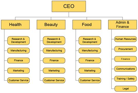 Common Organizational Structures | Principles of Management