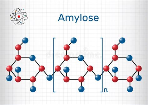 Structural Formula Of Amylose