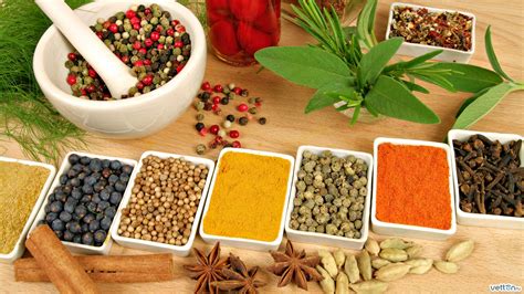 Ayurvedic Herbs - Holistic Health & Living