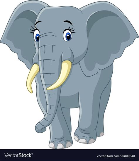 Cartoon funny elephant on white background Vector Image | Funny elephant, Baby animal drawings ...