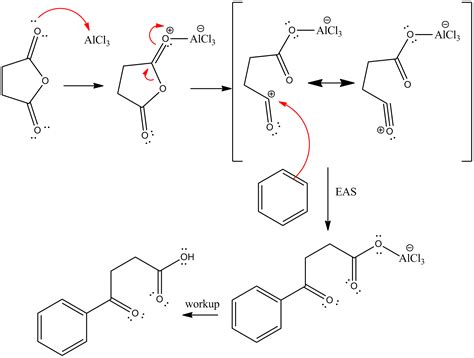 organic chemistry - Mechanism for acylation of a cyclic anhydride - Chemistry Stack Exchange