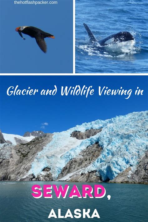 Kenai Fjords Tours Northwestern Tour (Wildlife + Glaciers = Fun ...