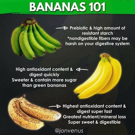 Bananas 101 | Banana, Banana benefits, Vegan diet