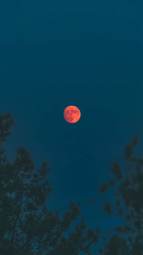 Download Blood Moon Photography Background | ManyBackgrounds.com