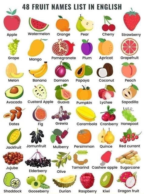 48 Fruits Names In English With Pictures | Imparare inglese, Idee per la scuola, Idee