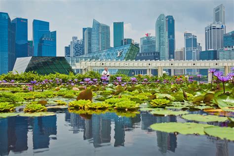 Singapore Climate Change: Reducing Heat Takes Trees and Technology - Bloomberg