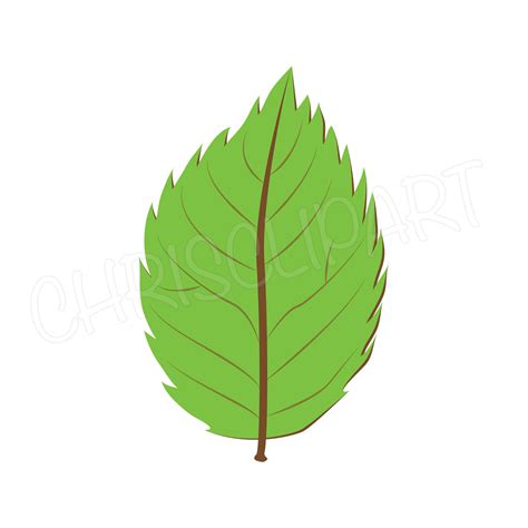 LEAF CLIP ART Green Leaf Svg Green Leaf Png Rose Leaf Svg - Etsy