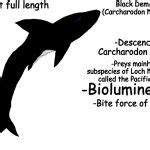 The Cryptic Bestiary Black Demon Shark Meme Generator - Imgflip