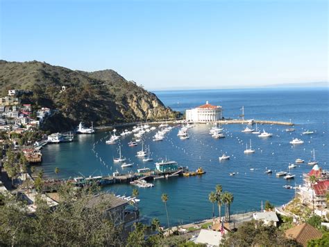 Family Vacation Southern California | Things To Do in Santa Catalina Island with Kids | Tips for ...