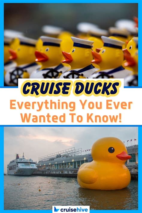 Cruise Ducks: Everything You Ever Wanted to Know!