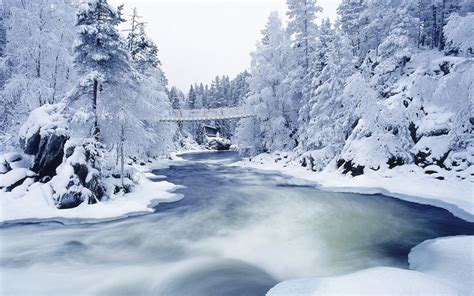 Snow Wallpapers HD | Best Wallpapers HD