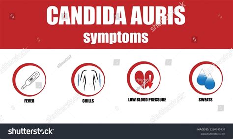 Candida Auris Symptoms Illness Deadly Disease Stock Vector (Royalty ...