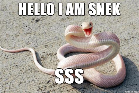 "Snek" meme : r/shittyadviceanimals