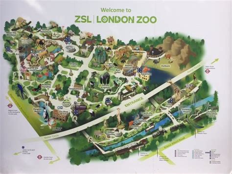 Family day - Review of ZSL London Zoo, London, England - Tripadvisor