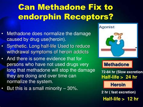 presentation on Endorphin hormone