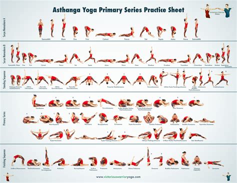 Resultado de imagem para ashtanga yoga primary series | Ashtanga vinyasa yoga, Yoga sequences ...