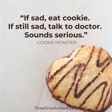 75 Cookie Monster Quotes & Captions - The Three Snackateers