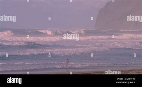 Polihale state park beach Stock Videos & Footage - HD and 4K Video Clips - Alamy