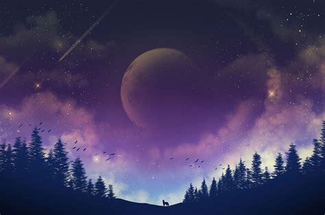 Galaxy Fox Wallpapers - Wallpaper Cave