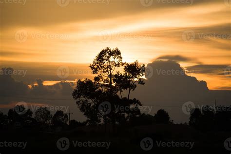 Silhouette tree , color of the sunset 1351379 Stock Photo at Vecteezy