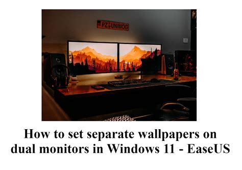 How to set separate wallpapers on dual monitors in Windows 11 - EaseUS