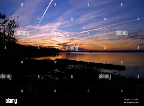 Sunset over Belmont Bay with silhouette barren tree branch and river ...