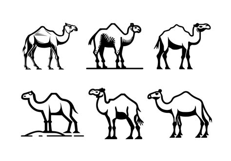 Camel silhouette black logo animals silhouettes icons camel riders ...