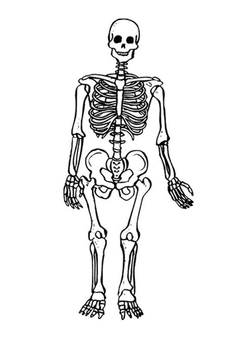 Coloring Page: Skeleton