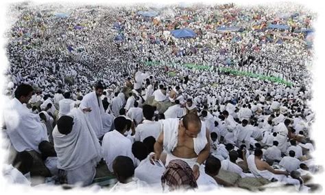 Hajj and Umrah rituals 2023 - Elymany Website