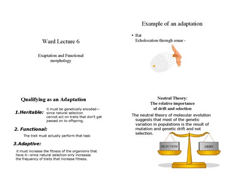 Exaptation and Functional Morphology - Lecture Slides | BIOL 354 - Docsity