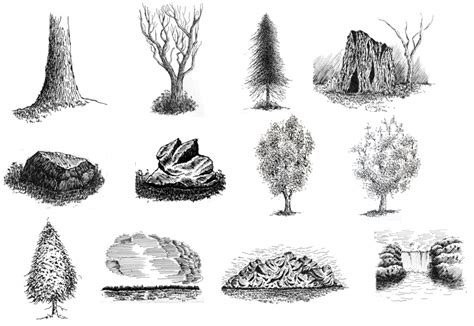 Learn to Draw Pen and Ink Landscapes - Pen and Ink Drawings by Rahul Jain