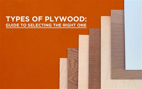 plymarc Types of Plywood: A Guide to Selecting the Right One - plymarc