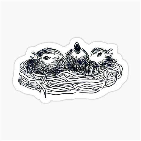 "An Illustrated Nest with Three Little Birds" Sticker for Sale by artistcandice | Redbubble