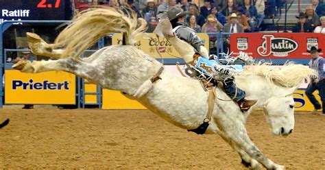 Montana bucking horse bound for National Finals Rodeo