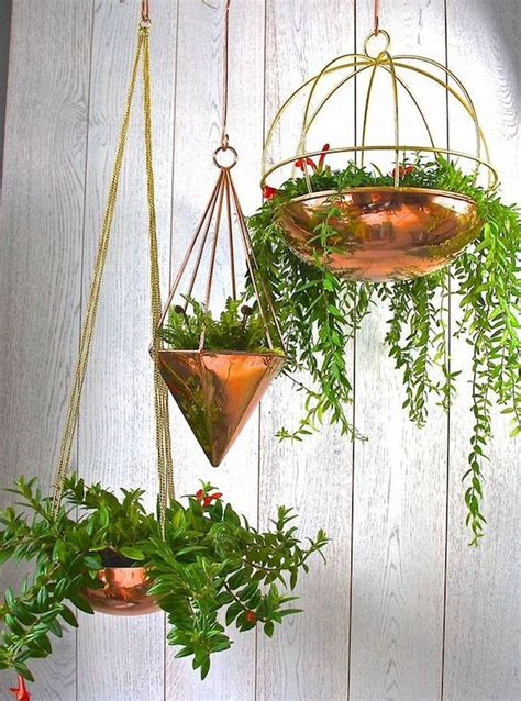 30 Adorable Indoor Hanging Plants to Decorate Your Home | Hanging ...