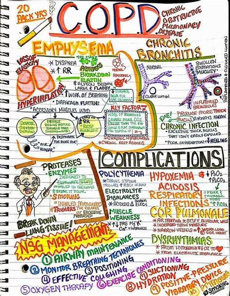 Respiratory: Essential Tips for a Healthy Respiratory System