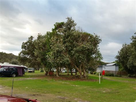 Red Rock Caravan & Camping Park - Red Rock NSW 2456, Australia