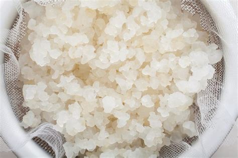 Benefits of Kefir Grains | Livestrong.com