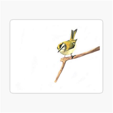 "Firecrest!" Sticker for Sale by GTD2 | Redbubble