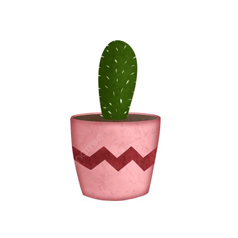 Cactus Plants PNG Image, Cactus Plant, Cactus, Plant, Green Cactus PNG Image For Free Download