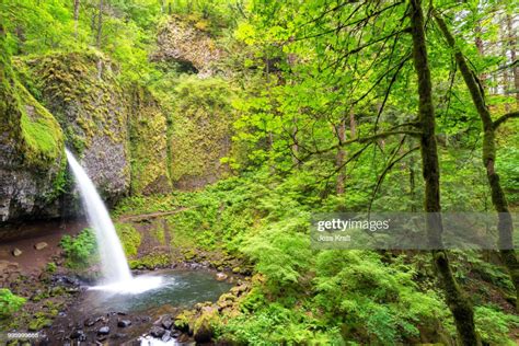 Horsetail Falls High-Res Stock Photo - Getty Images