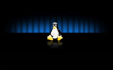 Top 999+ Linux Desktop Wallpaper Full HD, 4K Free to Use