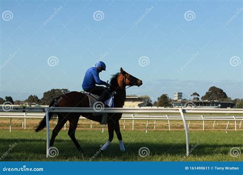 Thoroughbred Racehorses Training on a Horse Track in Preperation for an International Horse Race ...