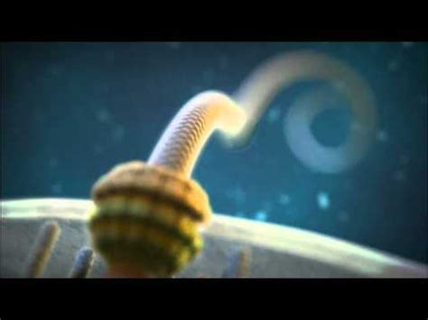 Irreducible Complexity? The Bacterial Flagellum - YouTube