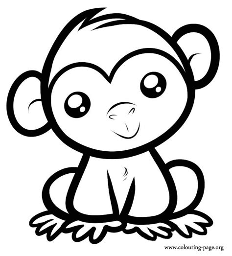 Baby Monkey Cartoon Drawings